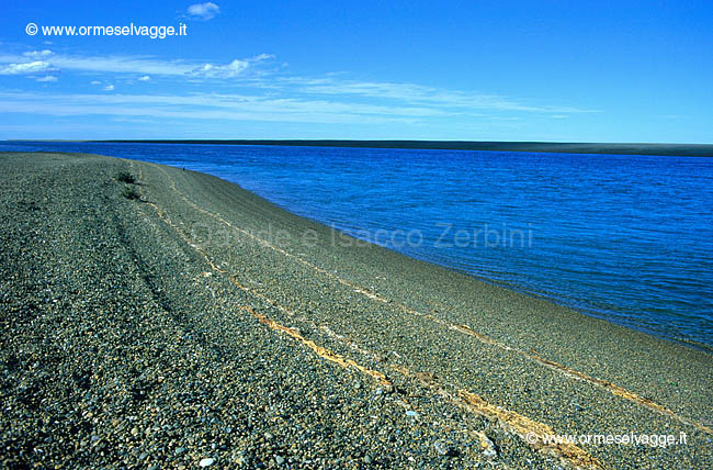 Calèta Valdés 6-08-03